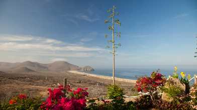 Todos Santos Magic Tour
