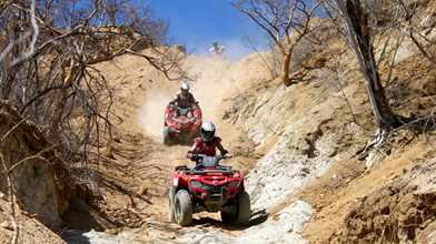 Off-Road Runners