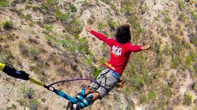 Bungee Bombers