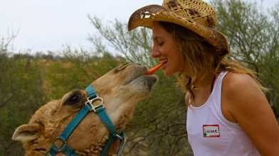 Camel Quest
