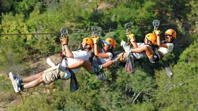 Monster Zip Lines