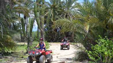 Migriño Desert and Beach ATV