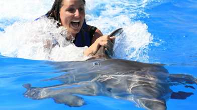 Dolphin Swim