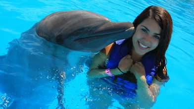 Dolphin Experience