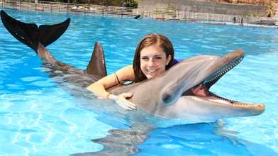 Dolphin Encounter
