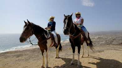 Beach & Desert Horseback Riding
