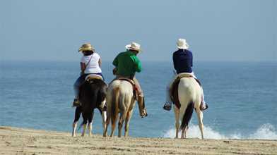 Beach & Desert Horseback Riding