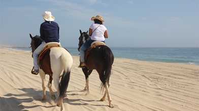 Beach & Desert Horseback Riding