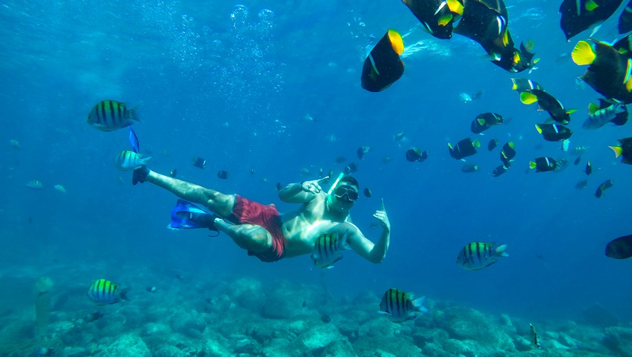 Yacht de Lujo & Snorkel