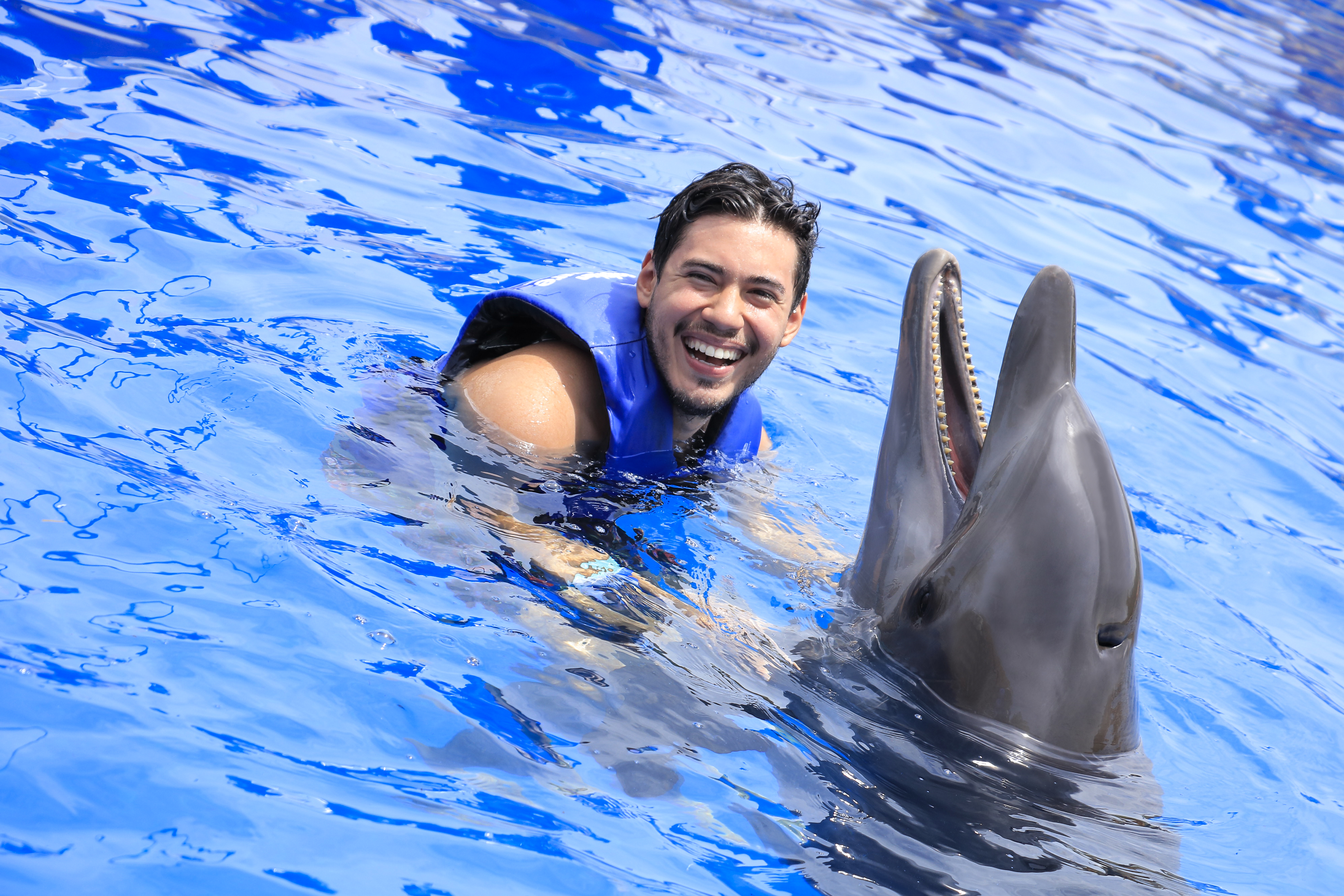 Dolphin Swim Adventure