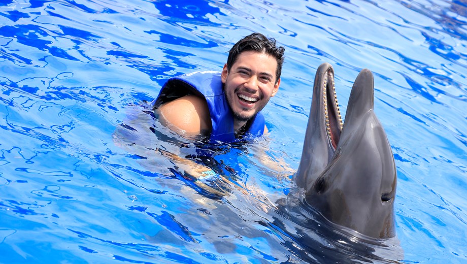Aventura con Delfines