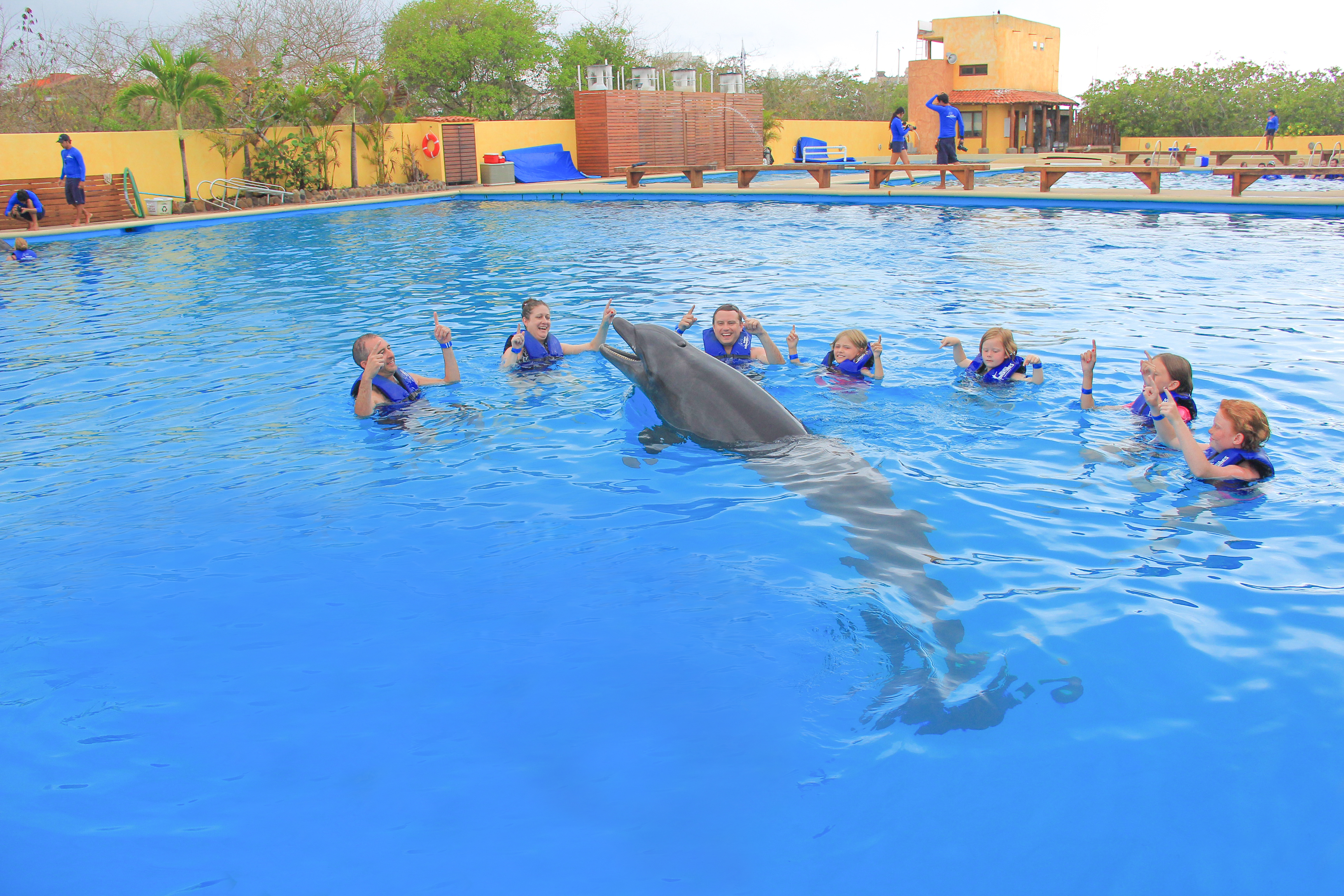 Signature Swim with Dolphins