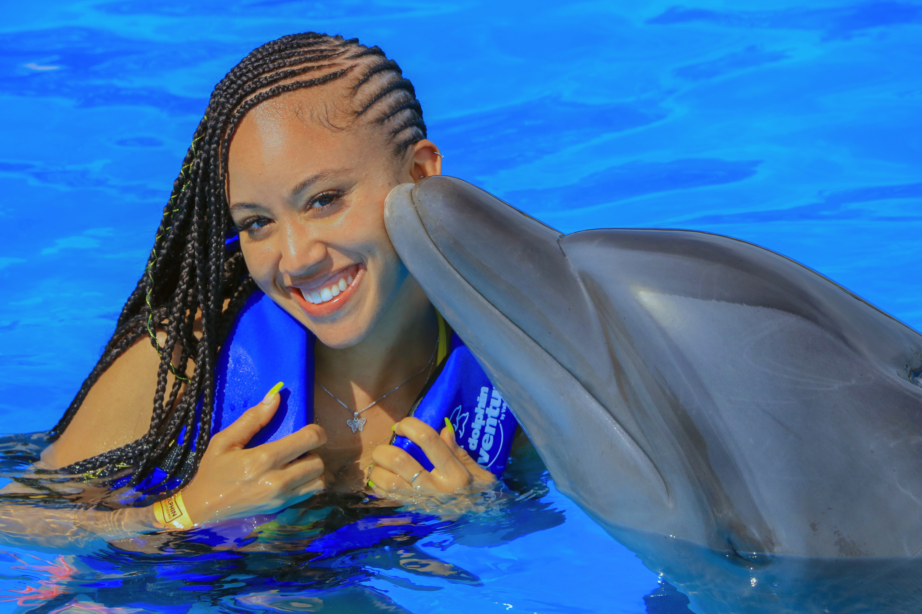 Dolphin Swim Adventure