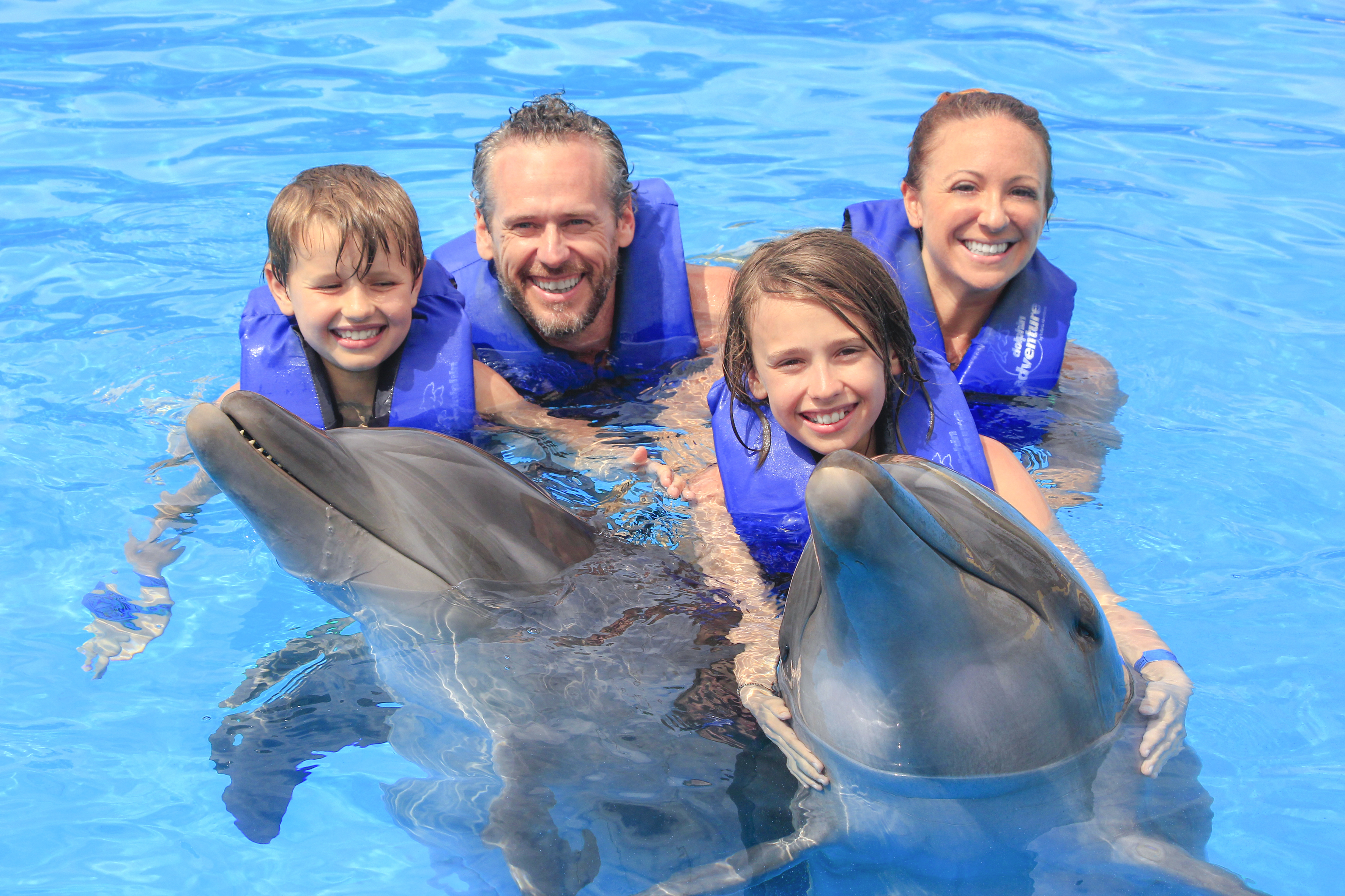 Signature Swim with Dolphins