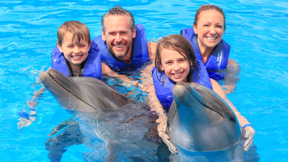 Nado Signature con Delfines