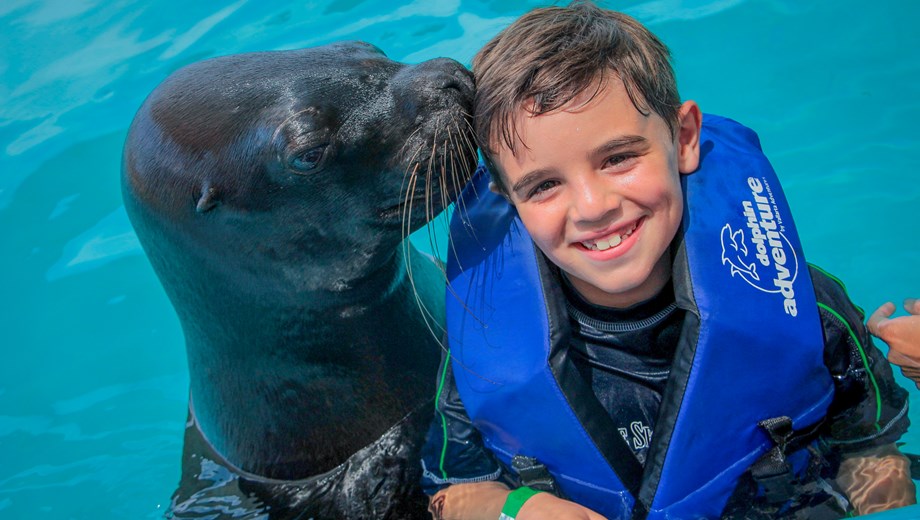 Experiencia Premium Delfines & Leones Marinos