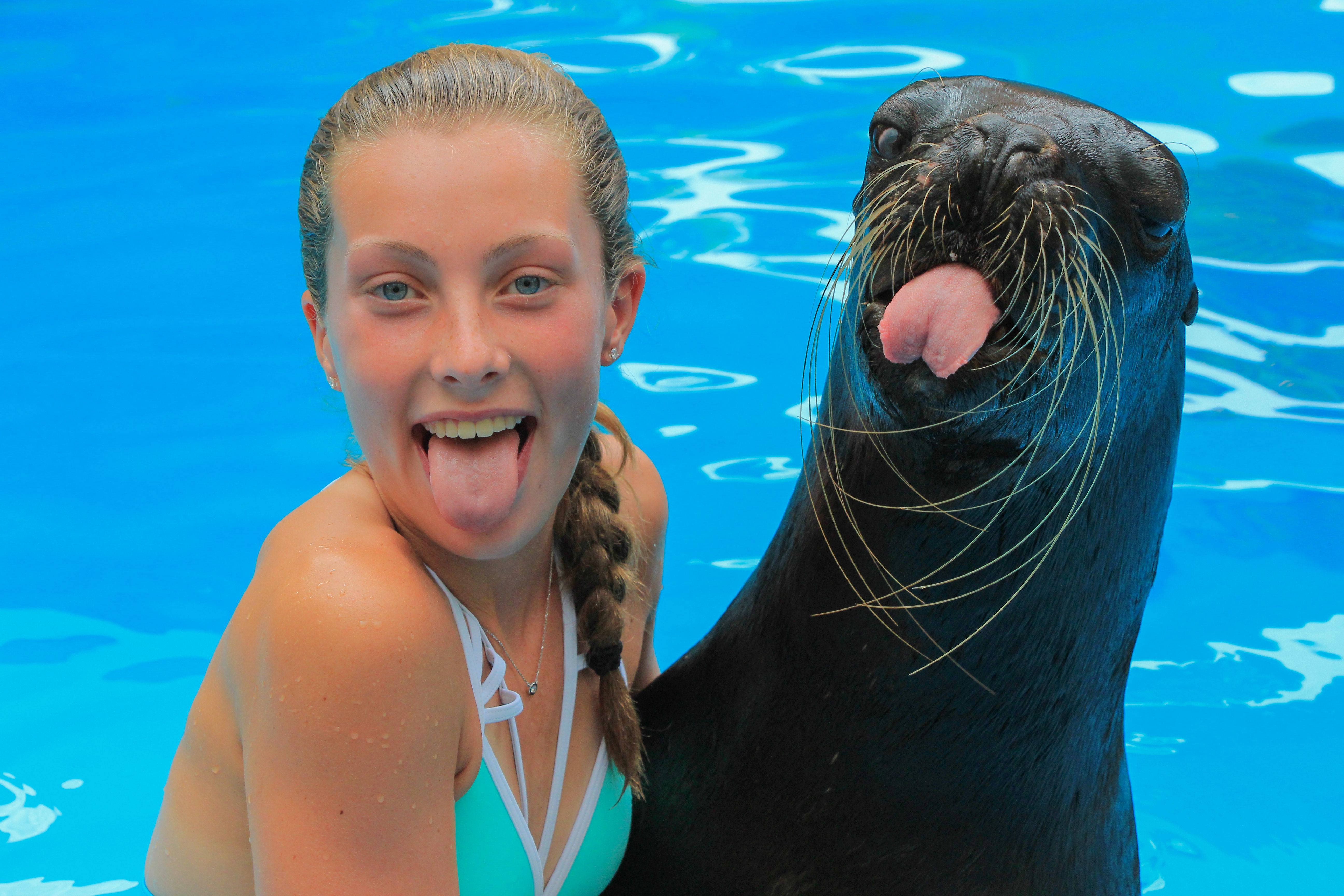 Premium Swim with Dolphins & Sea Lions