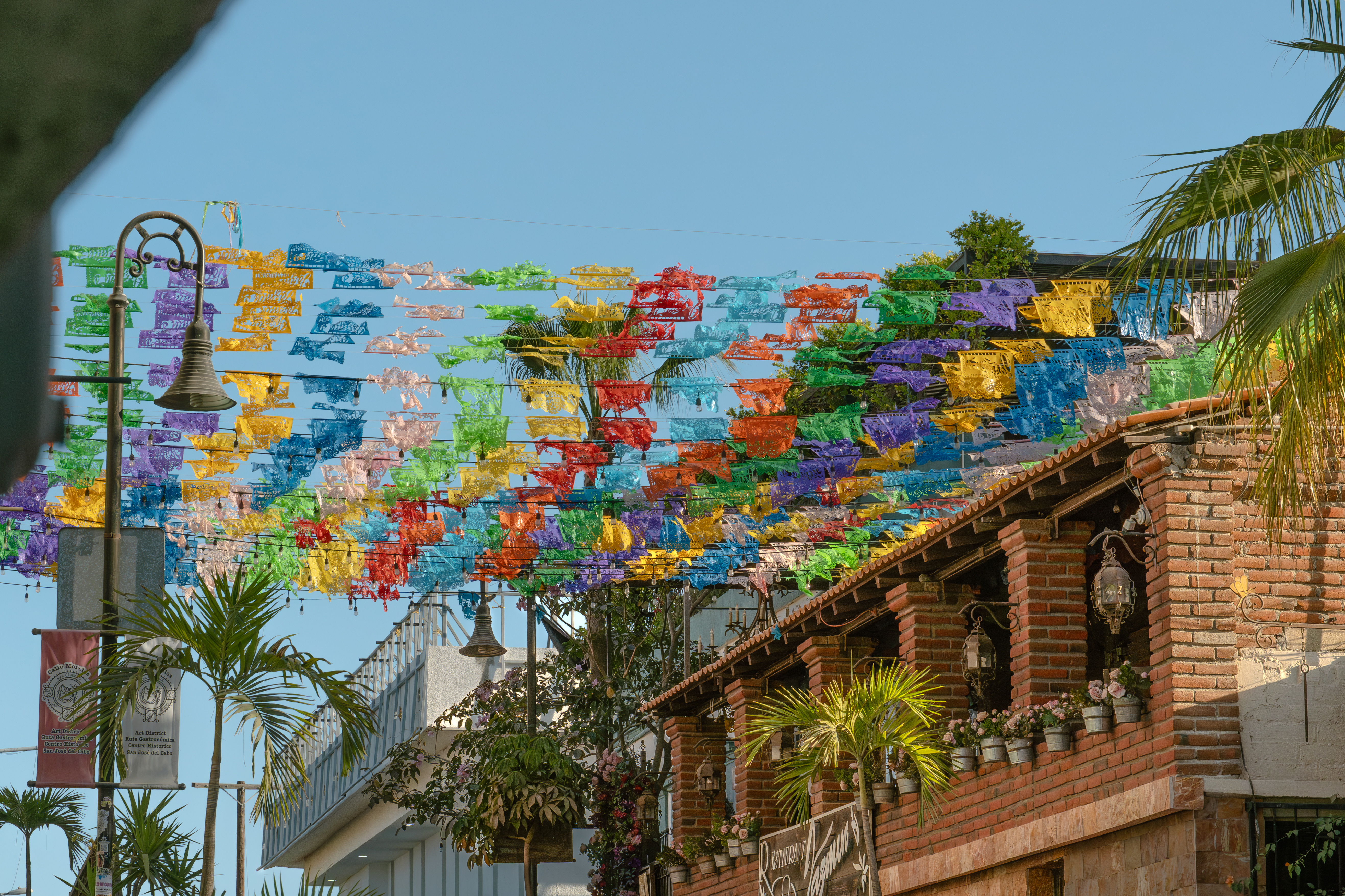 Art & Wine Evenings In San Jose