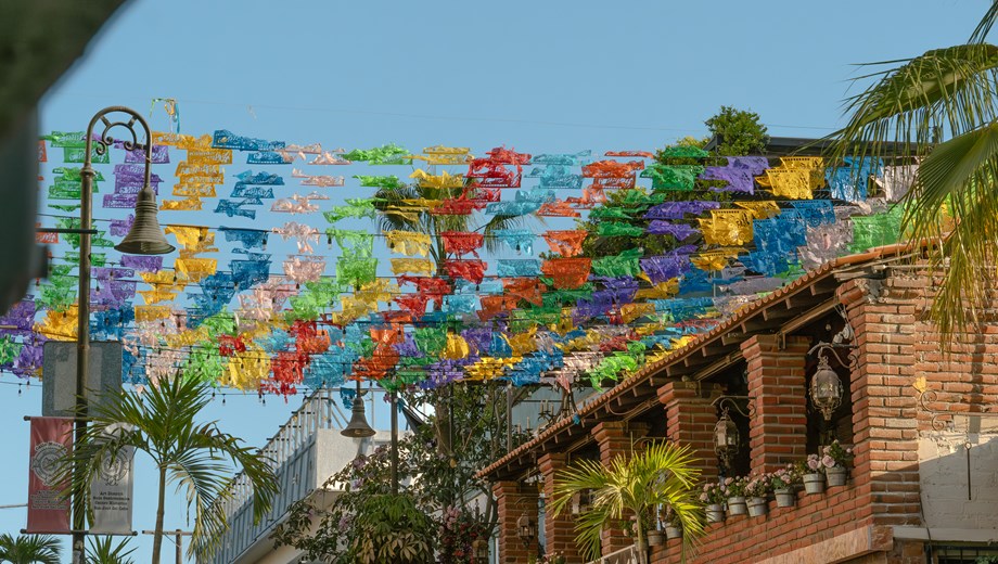 Noches de Arte & Vino en San Jose