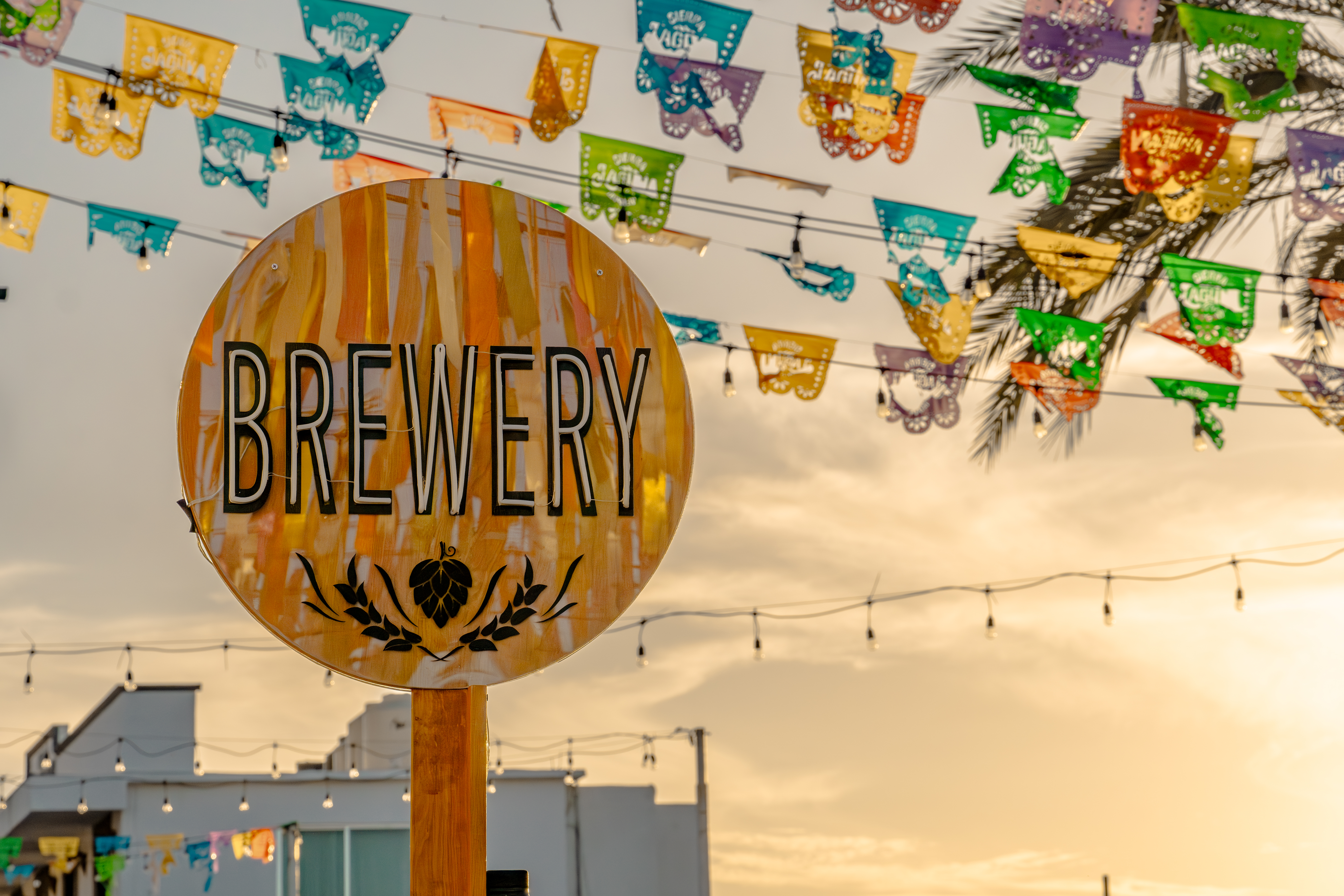 Art & Wine Evenings In San Jose