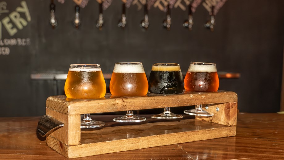 Noches de Arte & Vino en San Jose