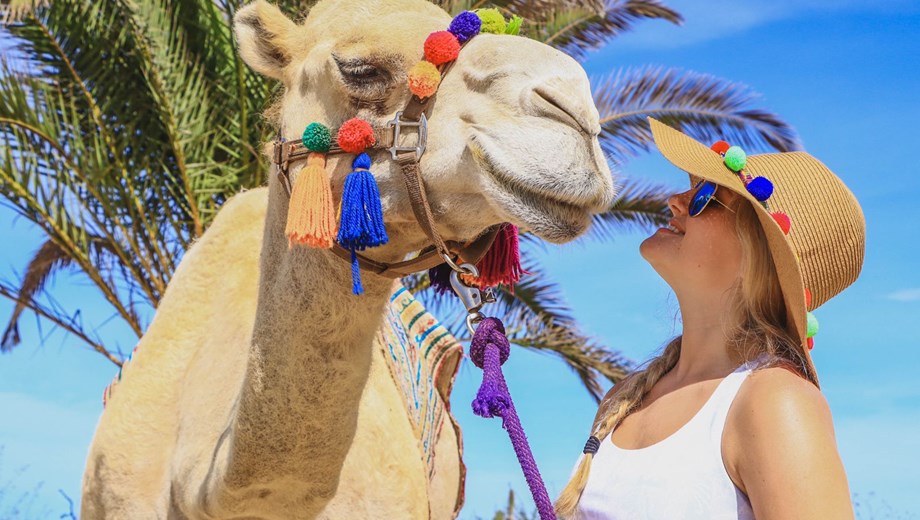 Arco + Paseo en Camellos