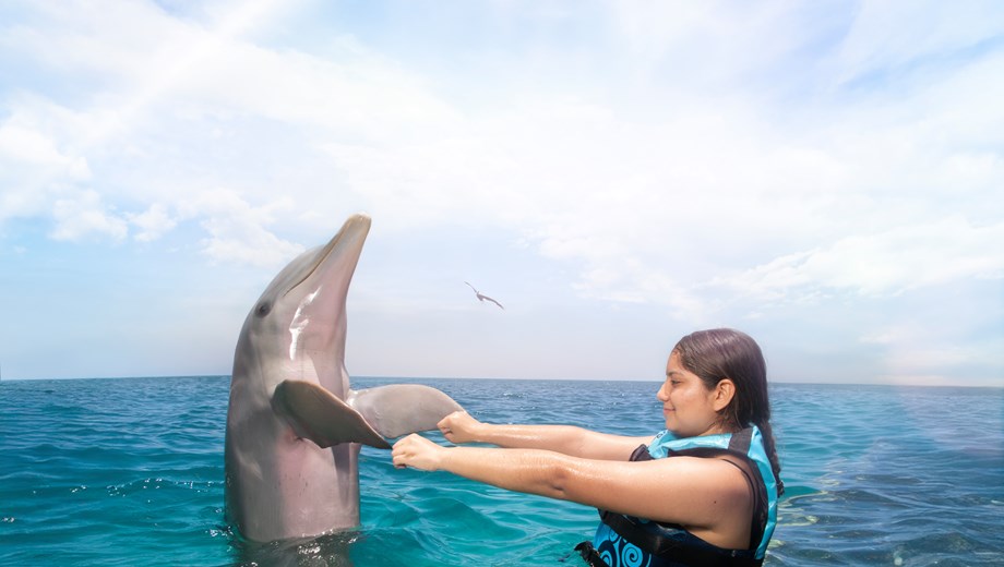 Encuentro con delfines by Aquaventuras