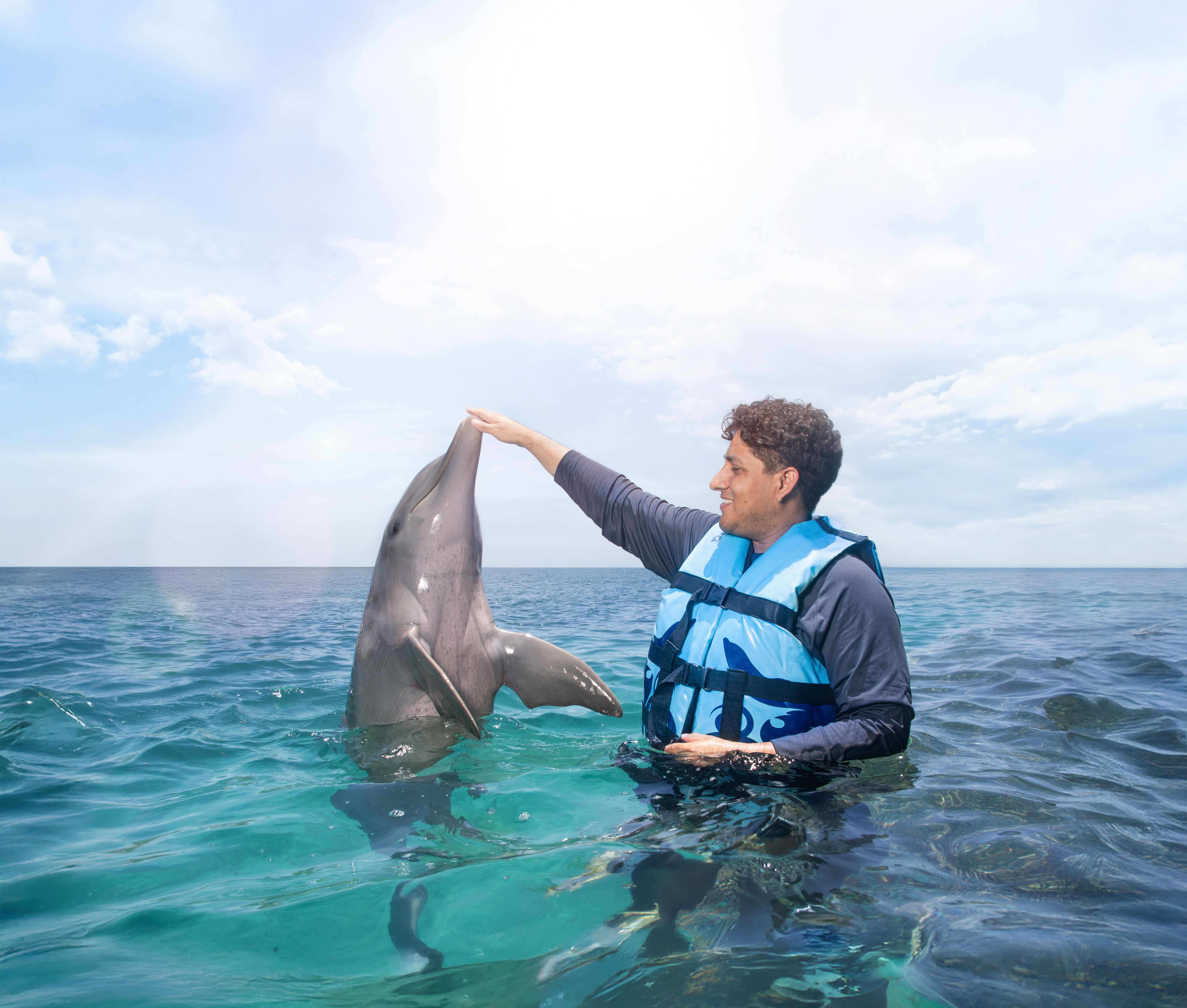 Dolphin Encounter by Aquaventuras