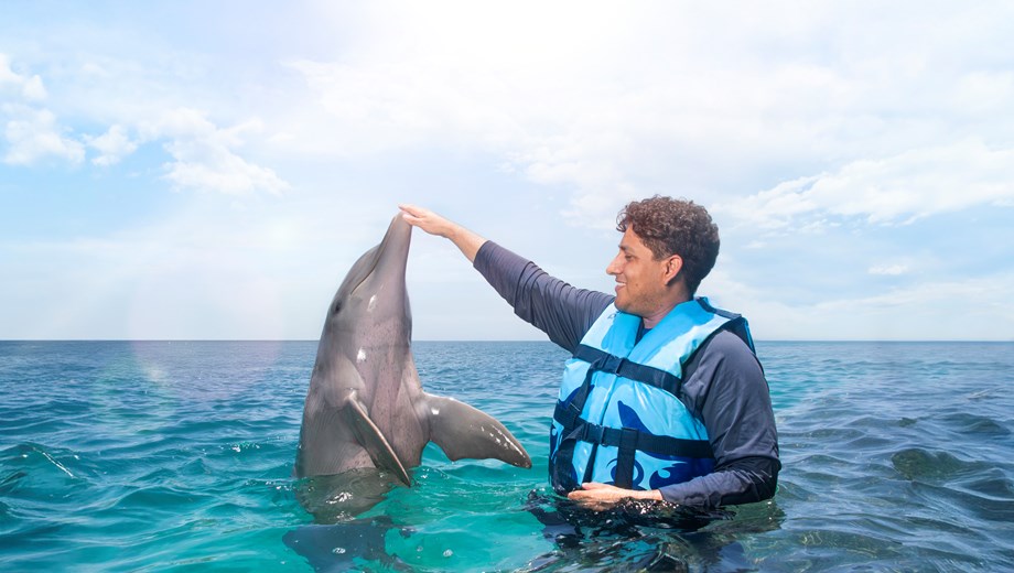 Encuentro con delfines by Aquaventuras