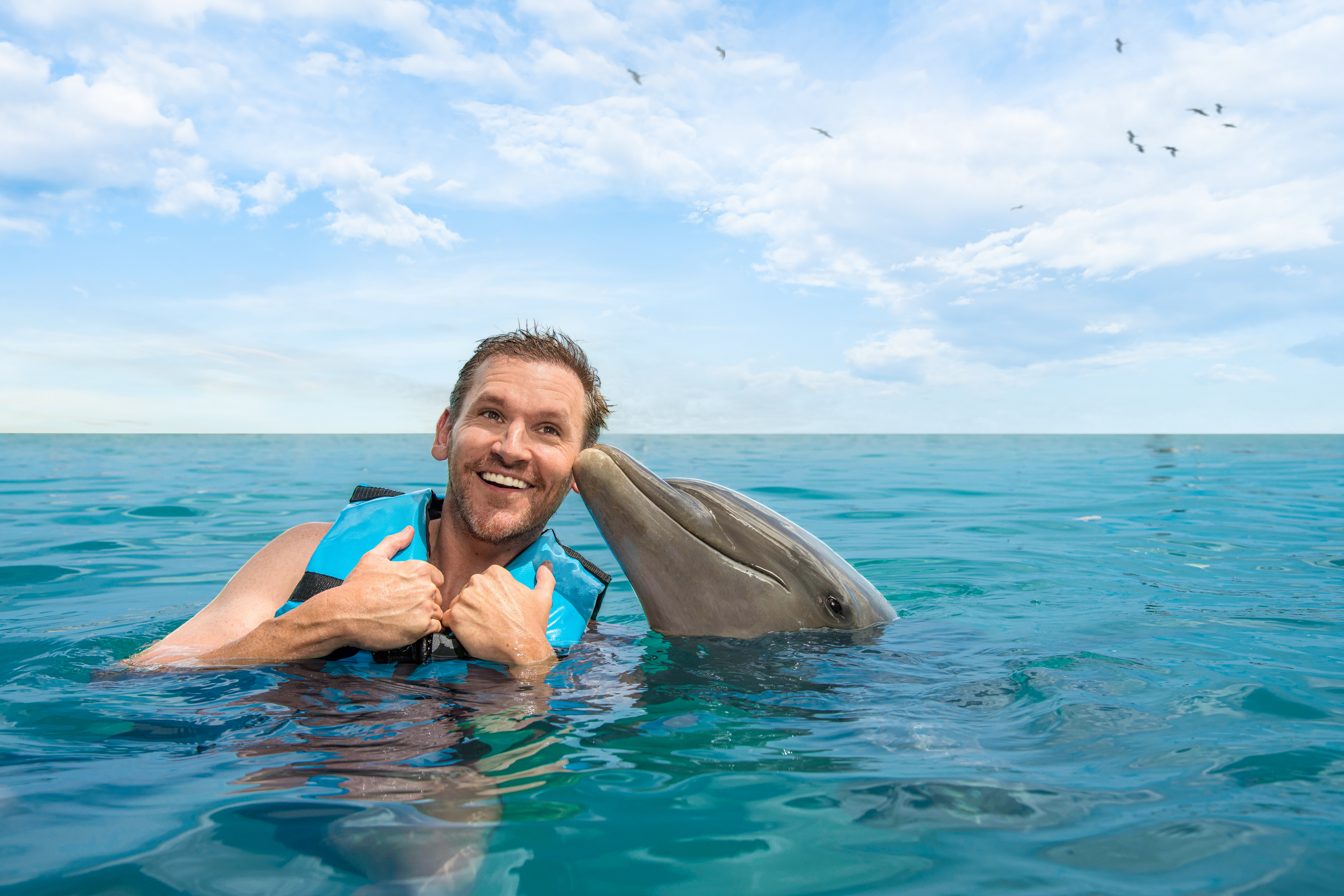 Dolphin Encounter by Aquaventuras