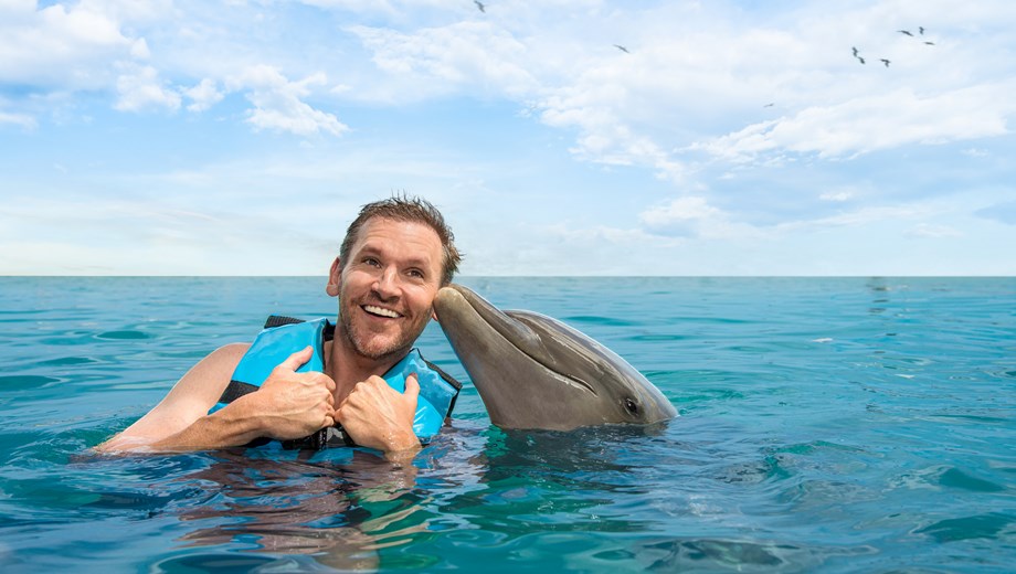 Encuentro con delfines by Aquaventuras