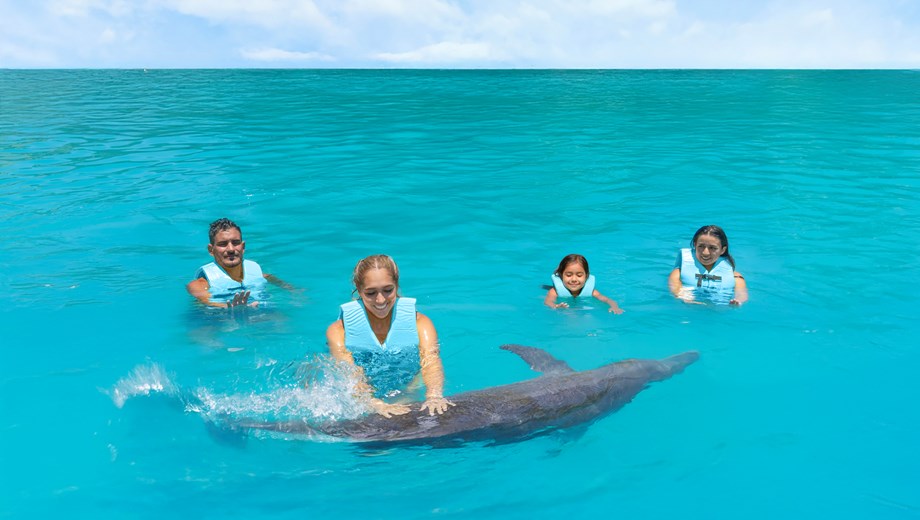 Encuentro con delfines by Aquaventuras