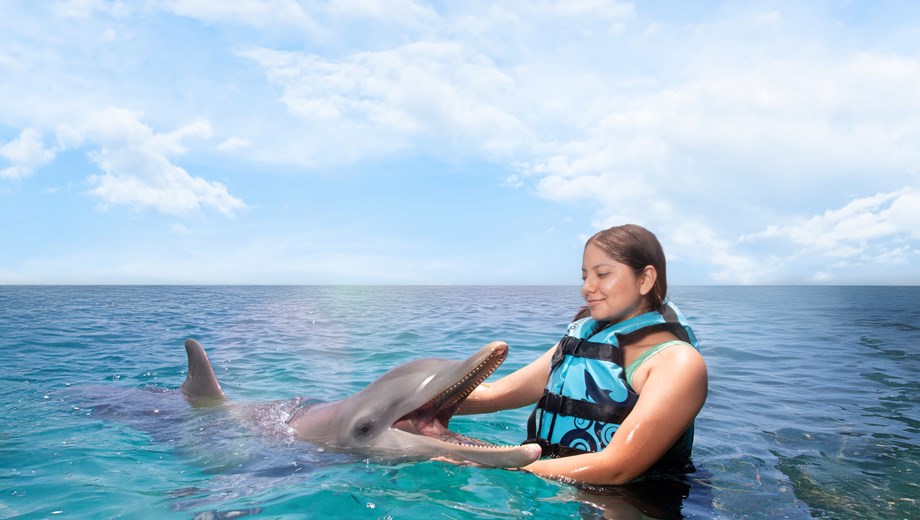 Dolphin Royal Connection