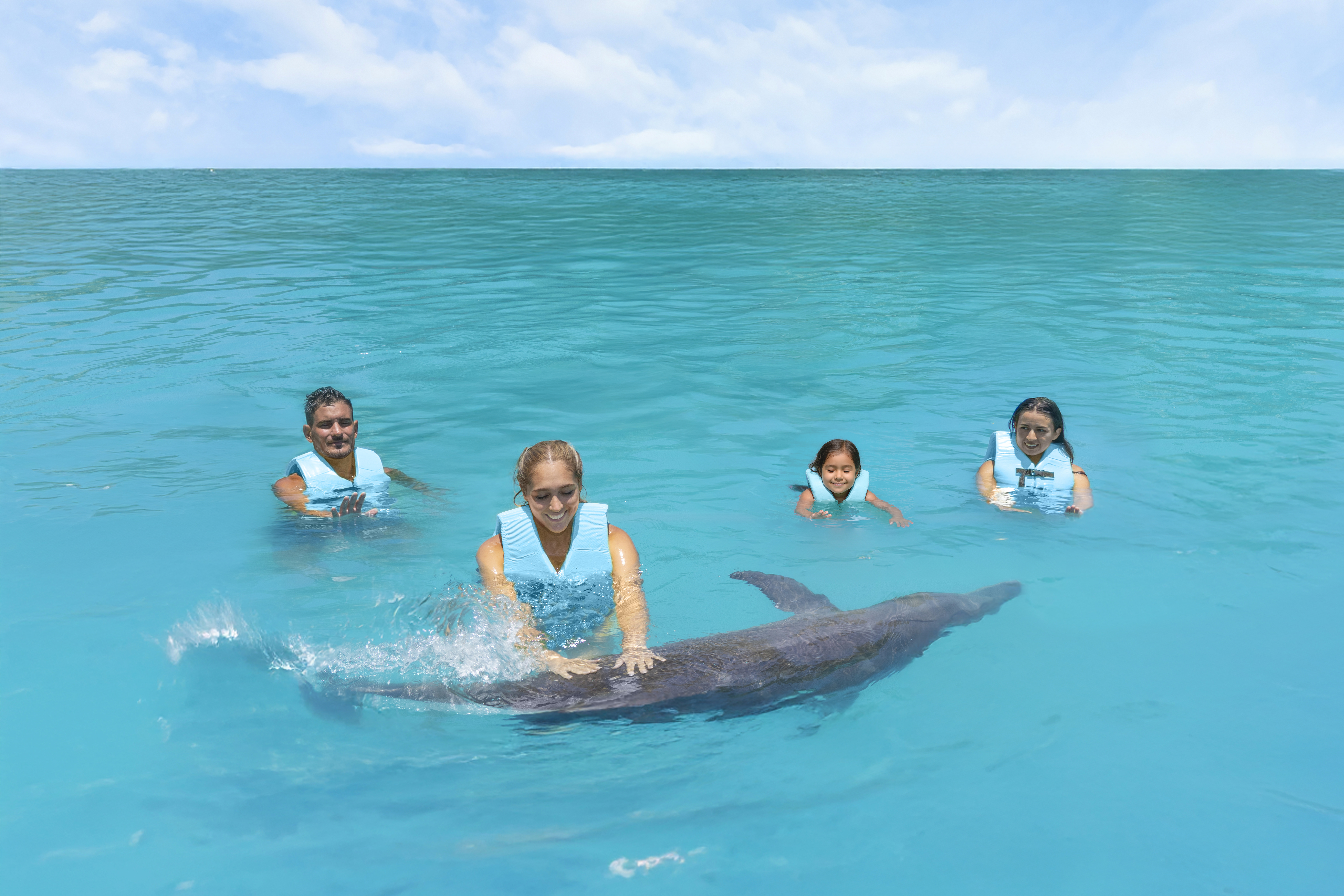 Dolphin Royal Connection