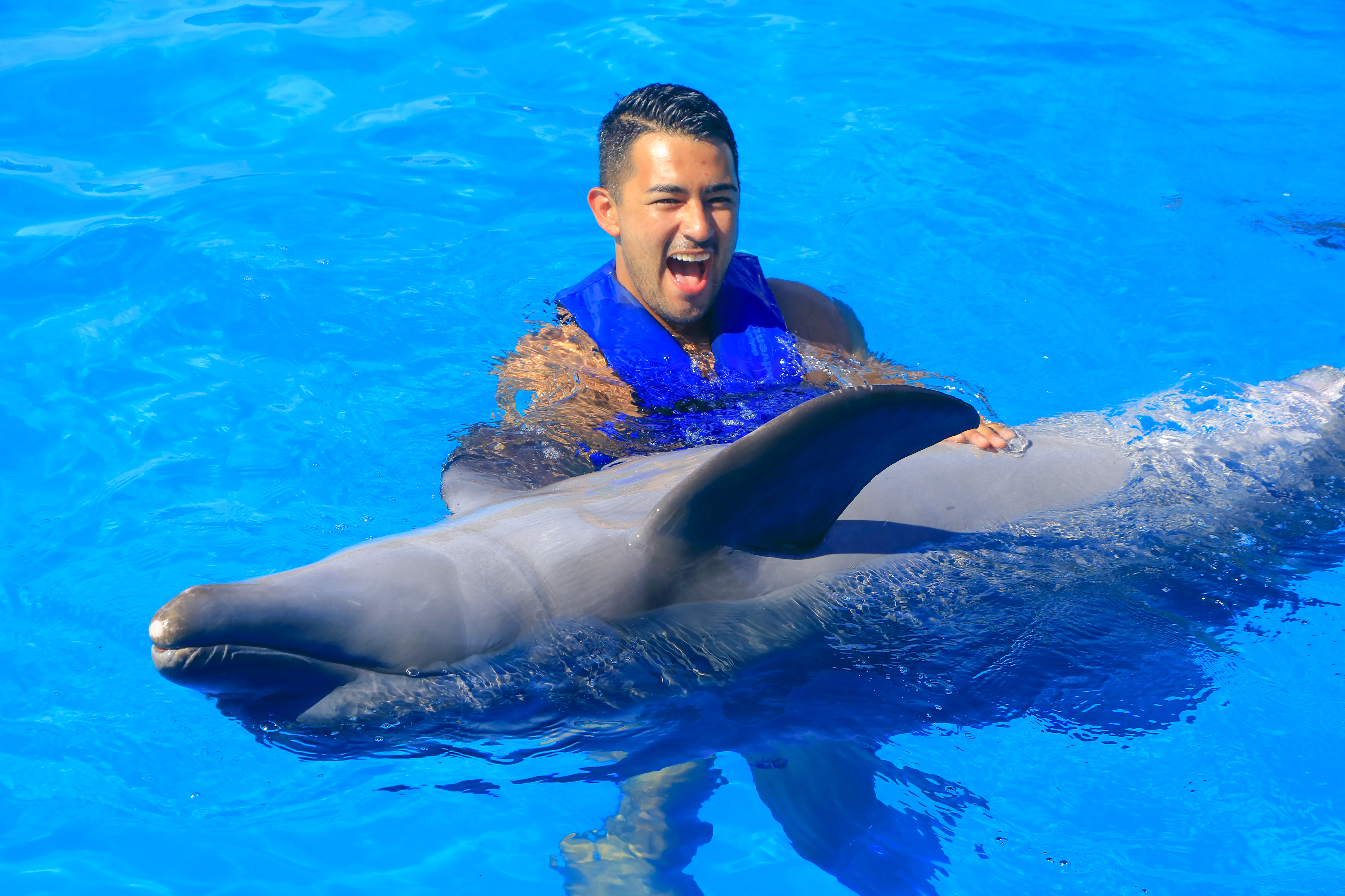 Dolphin Swim Adventure