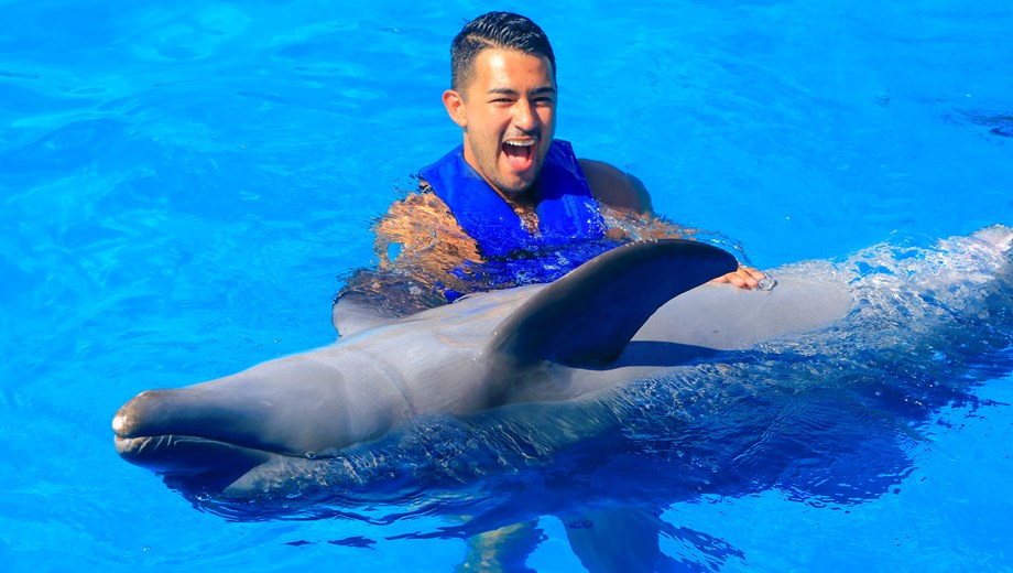 Aventura con Delfines