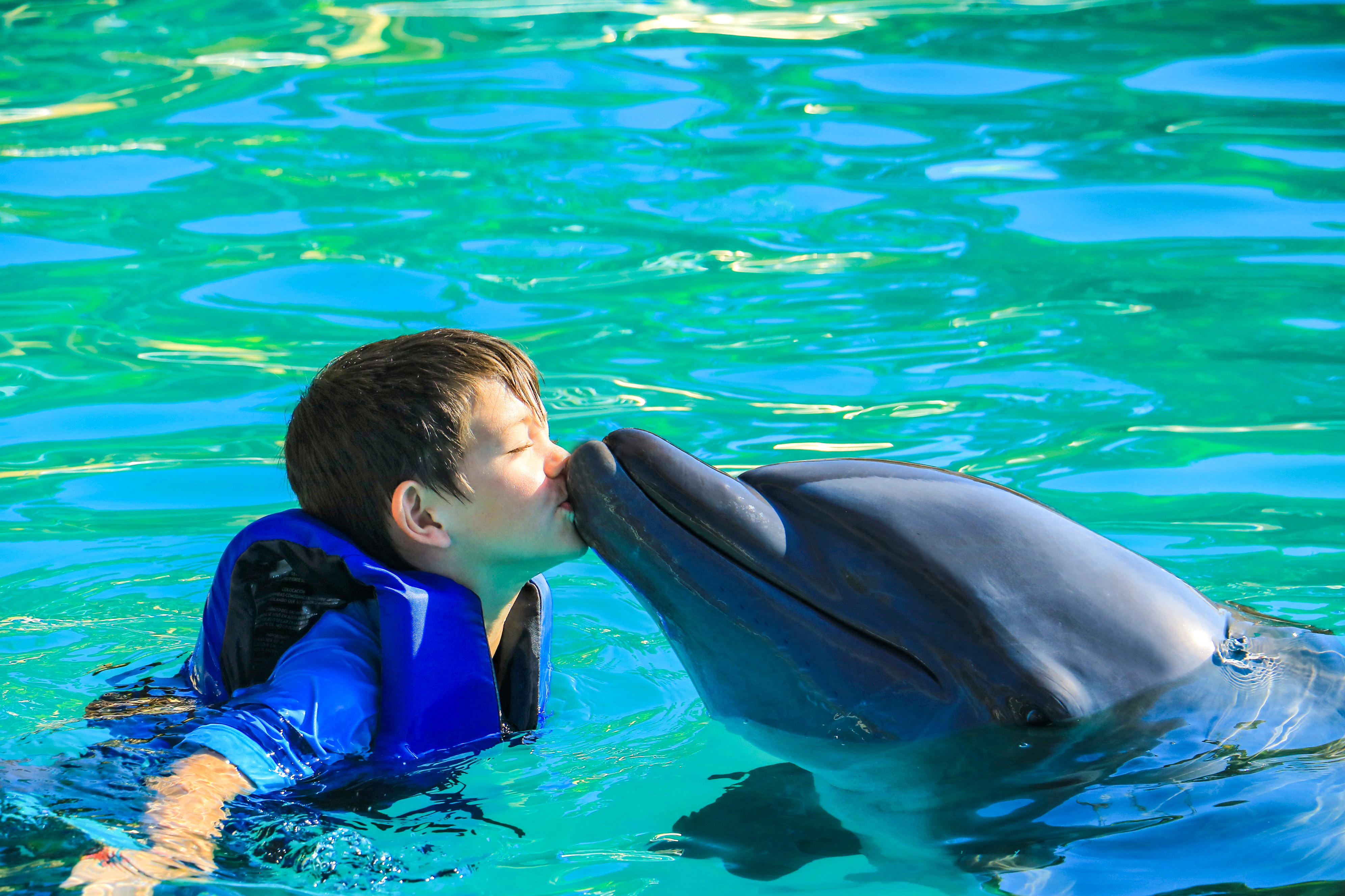 Premium Swim with Dolphins & Sea Lions