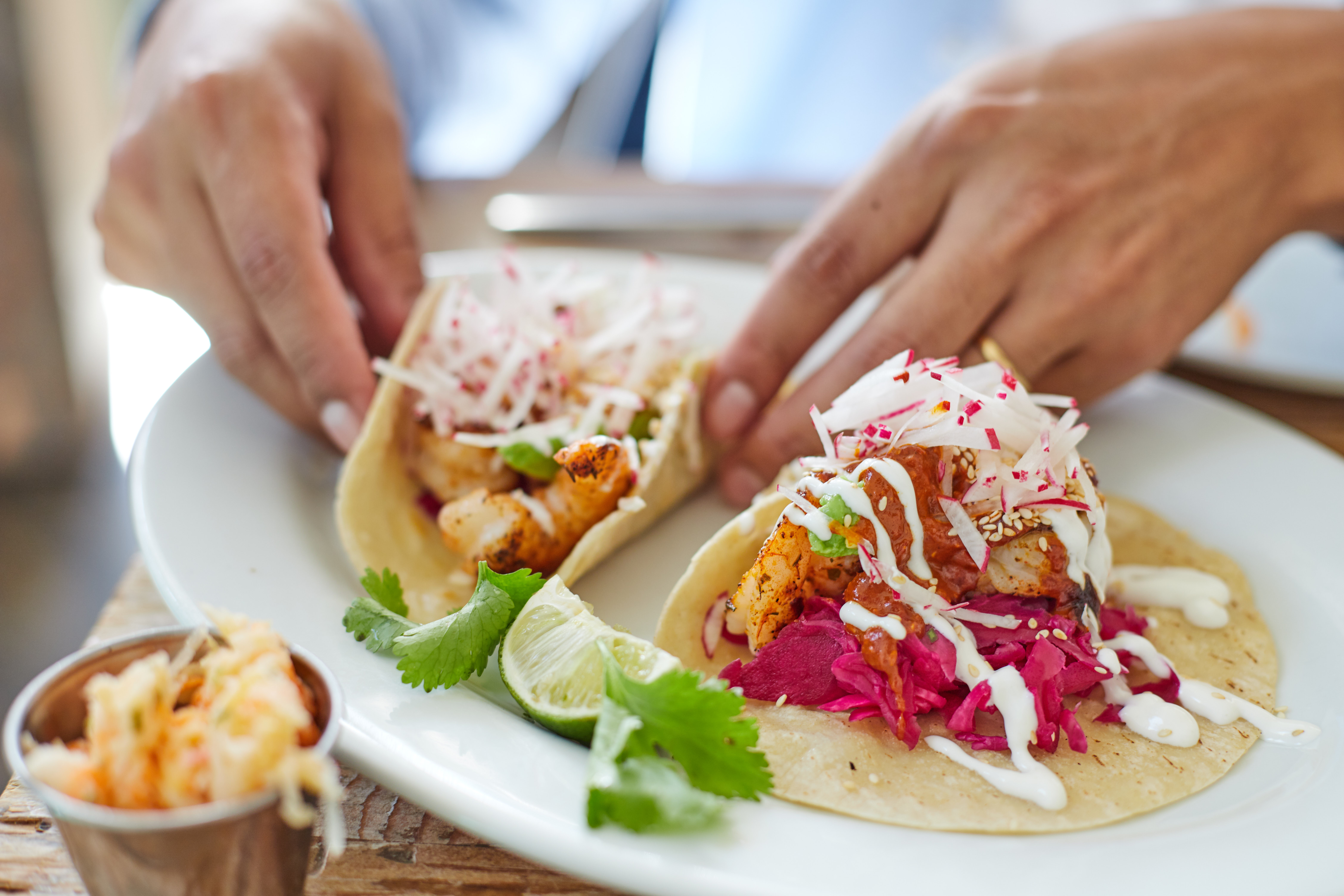 El Triunfo & The Tropic of Cancer route