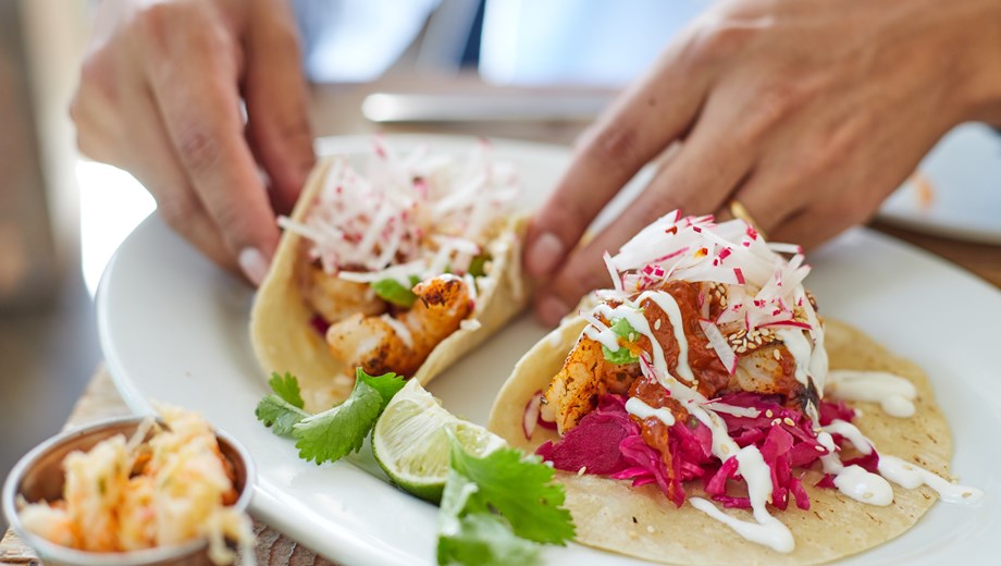 El Triunfo & The Tropic of Cancer route