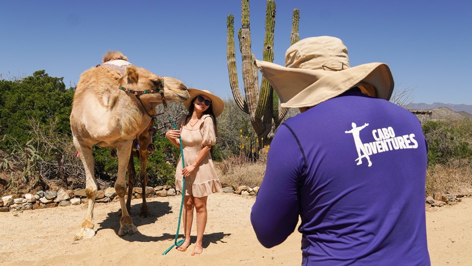 Tour Mágico a Todos Santos & Camellos en el Rancho 