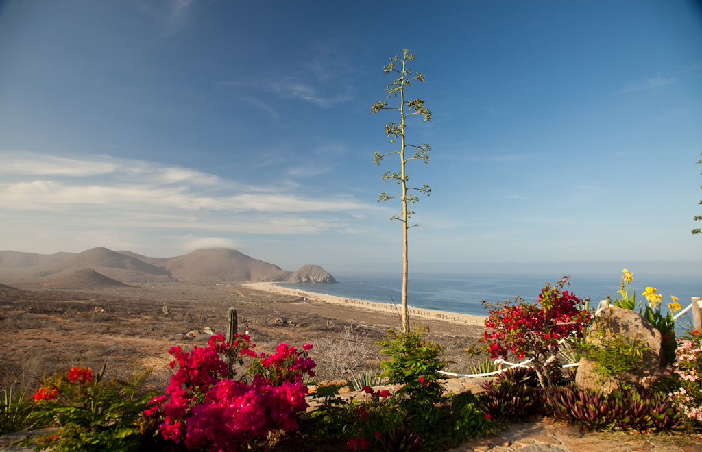 Todos Santos Magic Tour