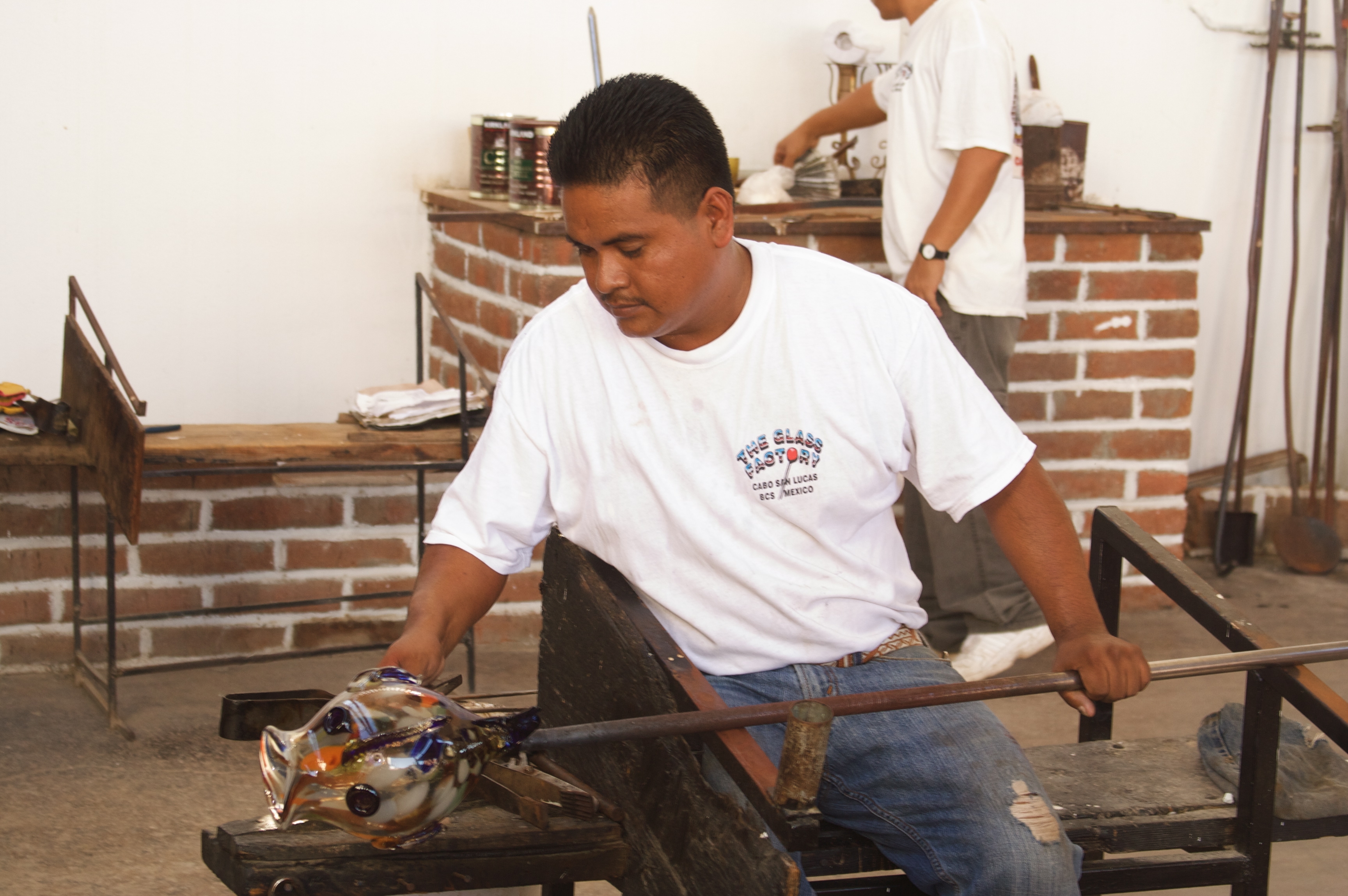 Cabo San Lucas City Tour