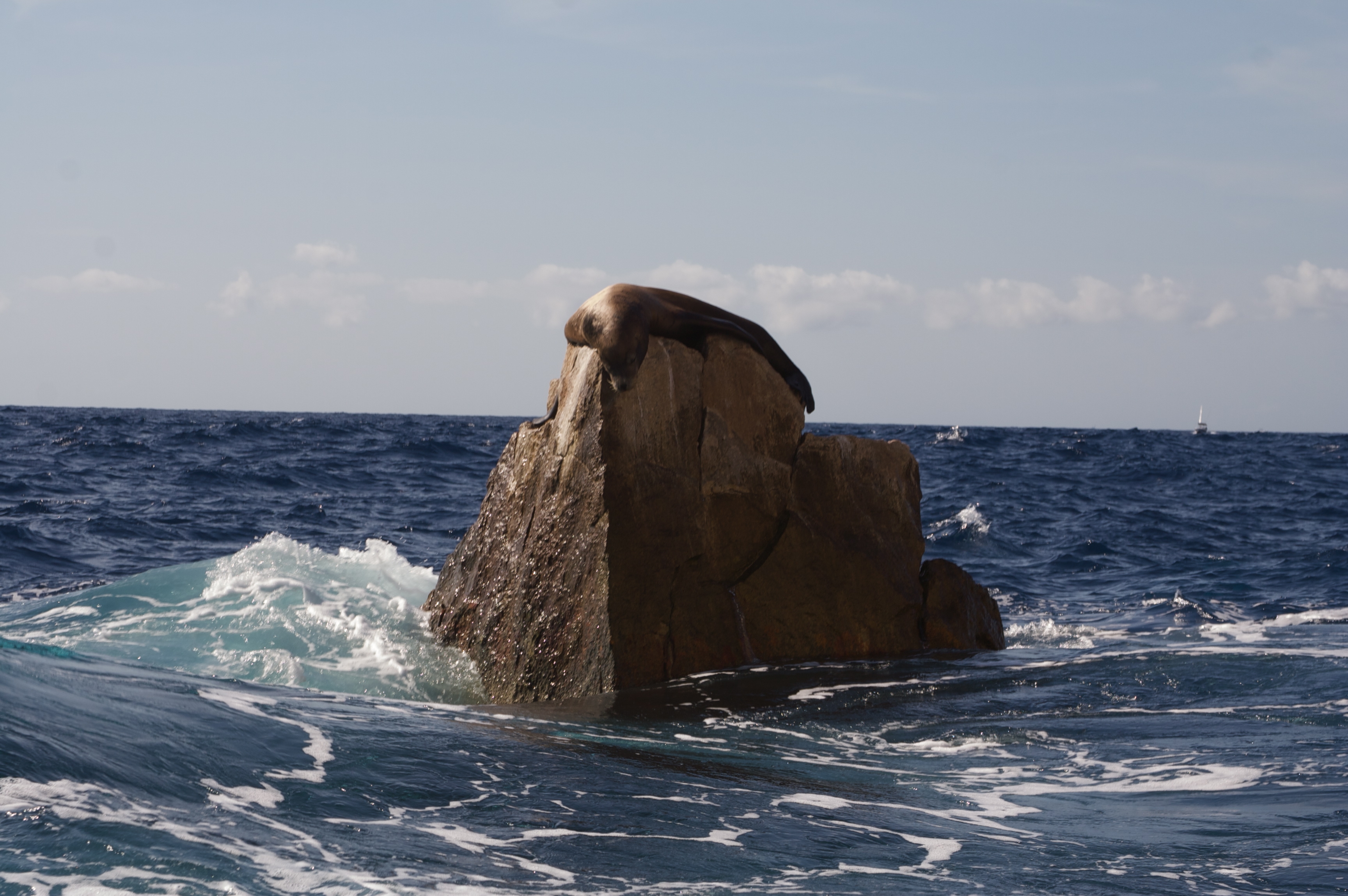Cabo San Lucas City Tour