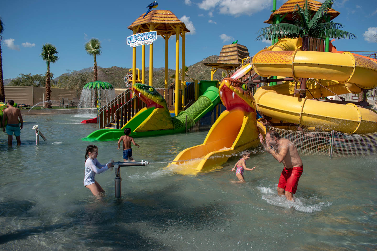 Acceso Total Wild Canyon