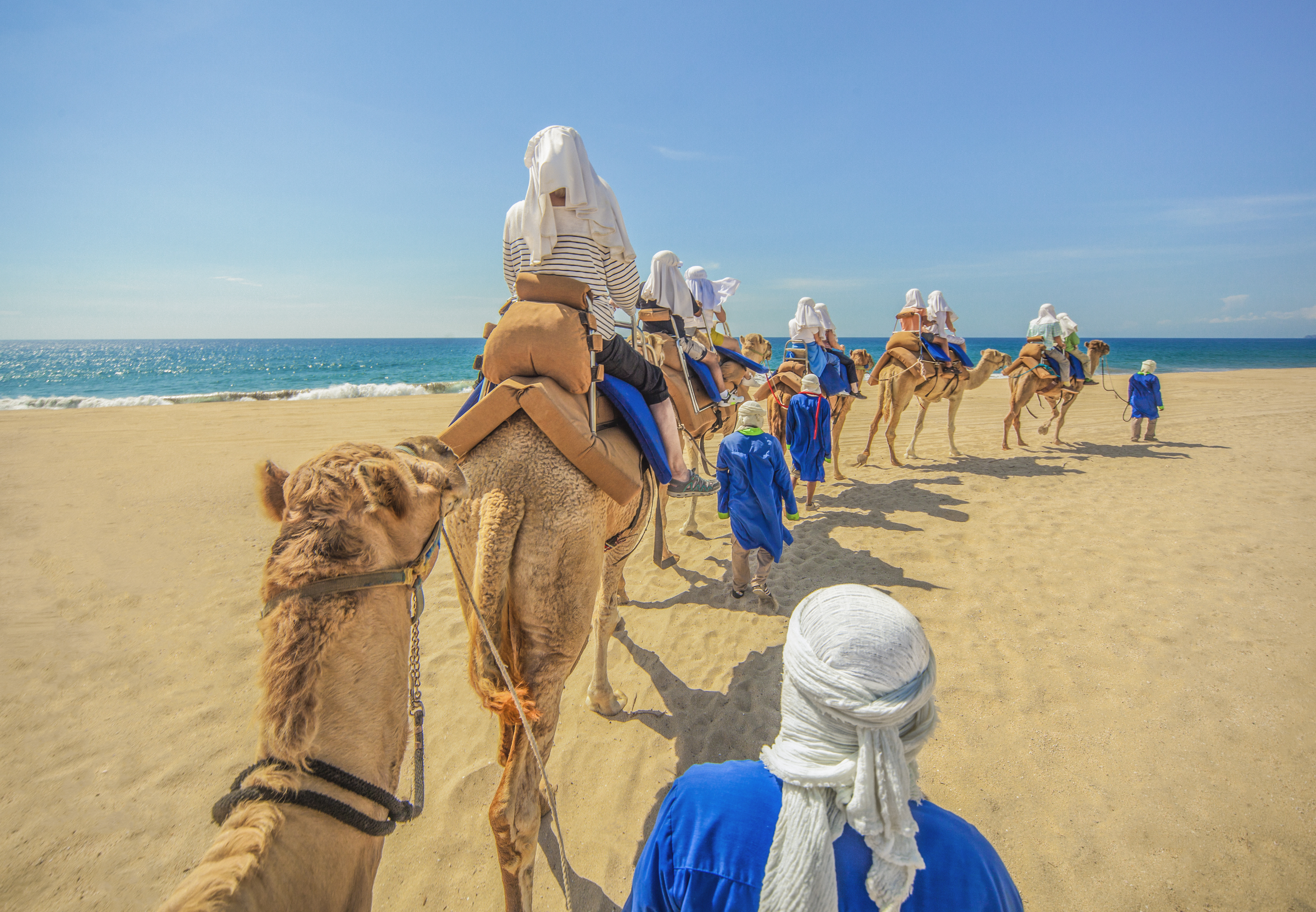 Outback Camel Safari
