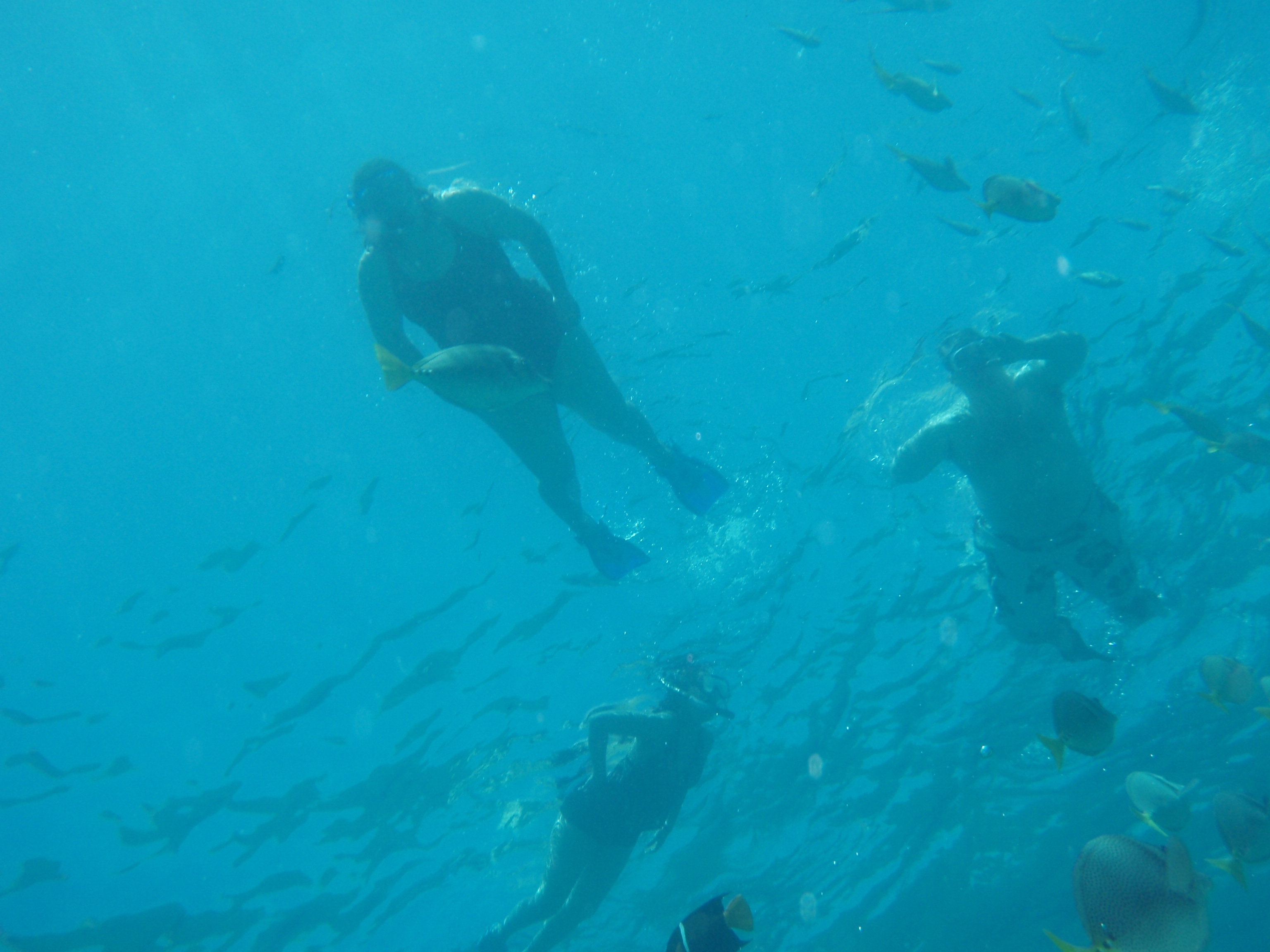 Snorkeling By The Arch