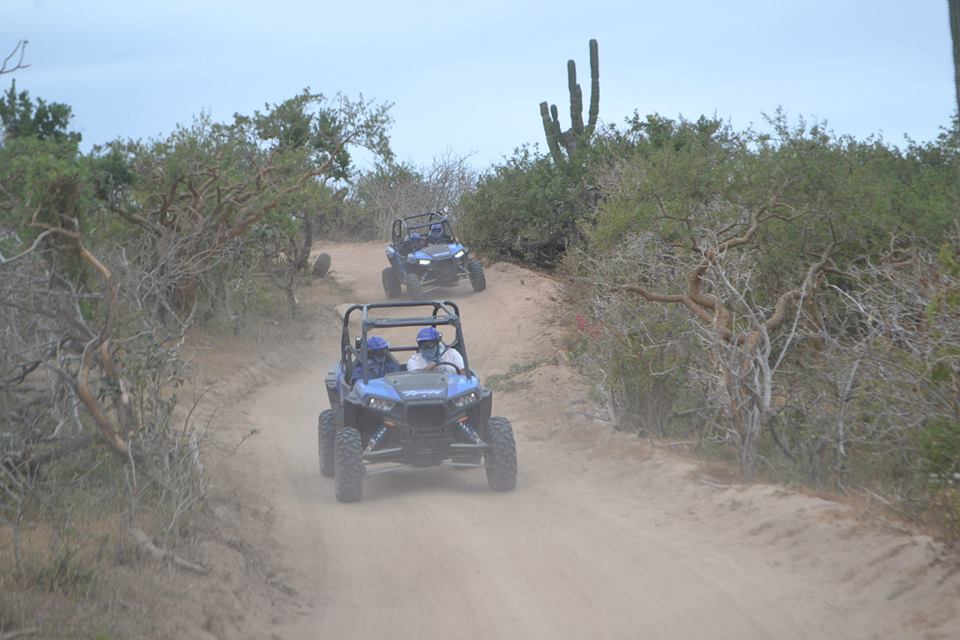 RZR  and Horses on Beach