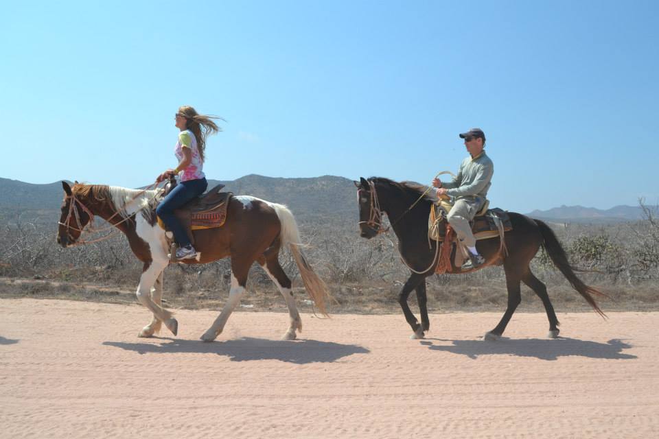RZR  and Horses on Beach