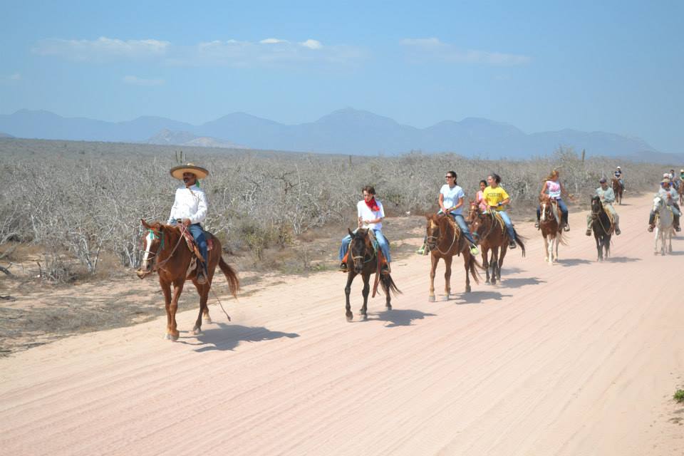 RZR  and Horses on Beach