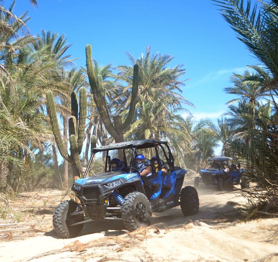 Migriño RZR Tour